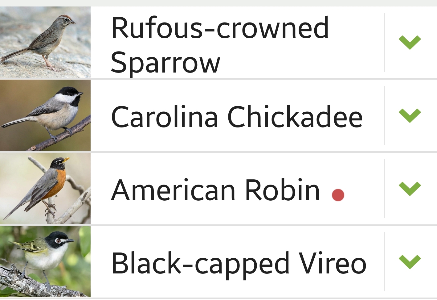 Kimble County bird sighting list