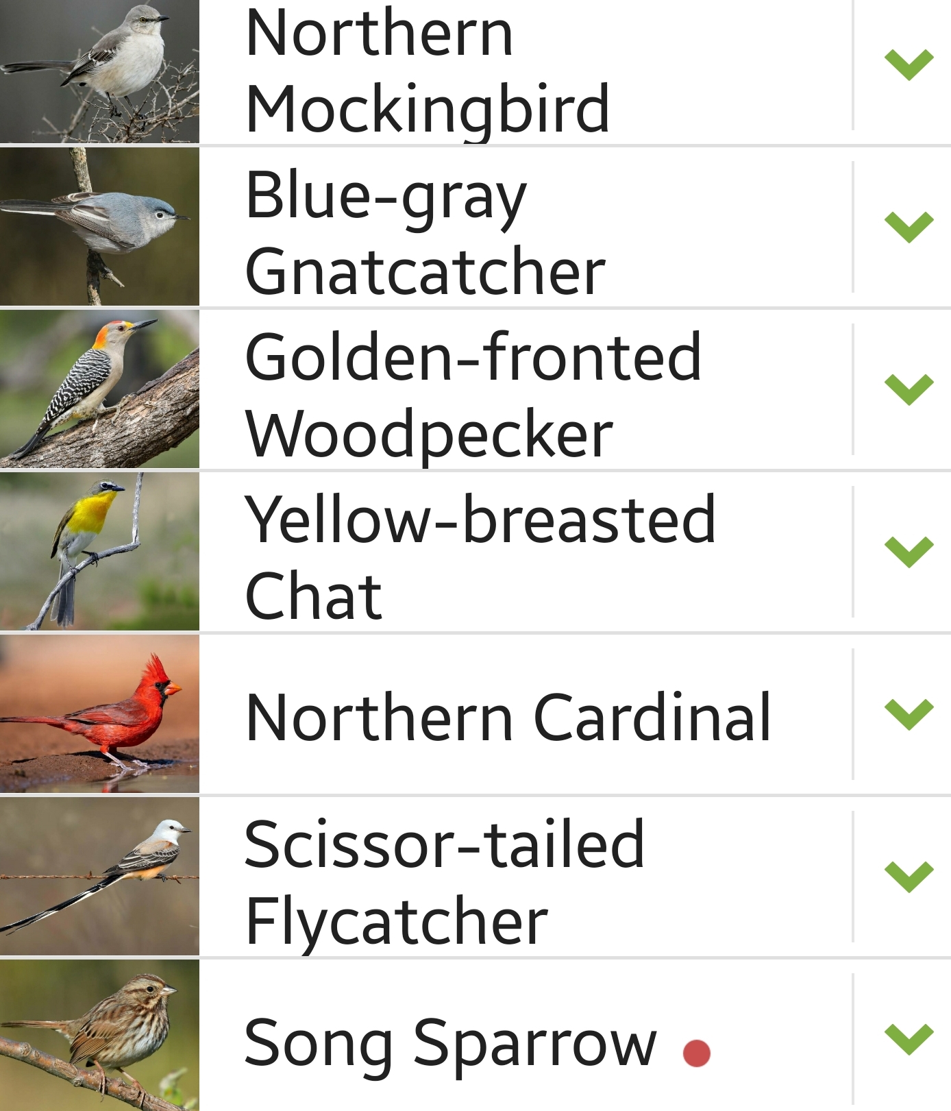 Kimble County bird sighting list