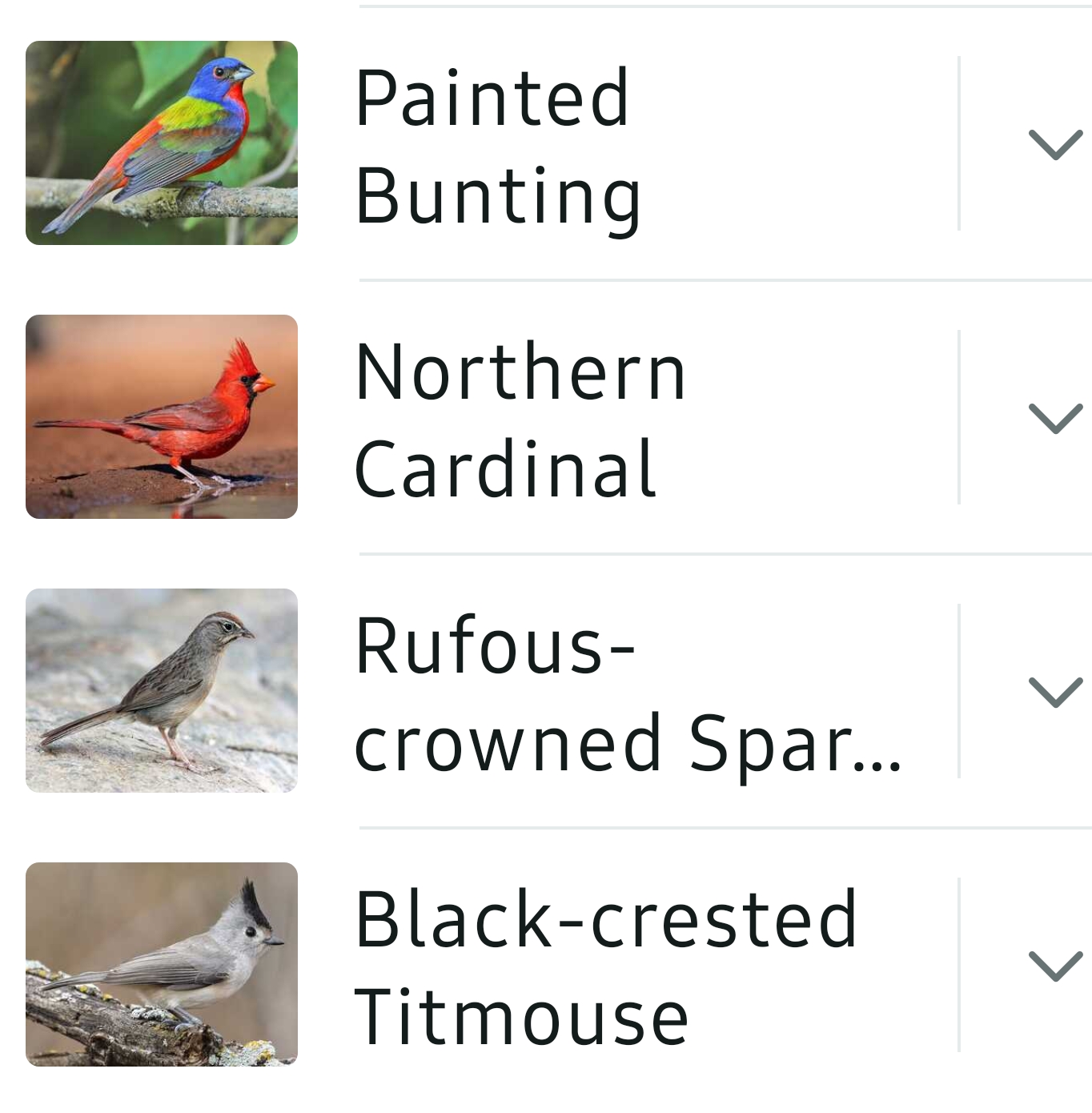 Bird List Kimble Country