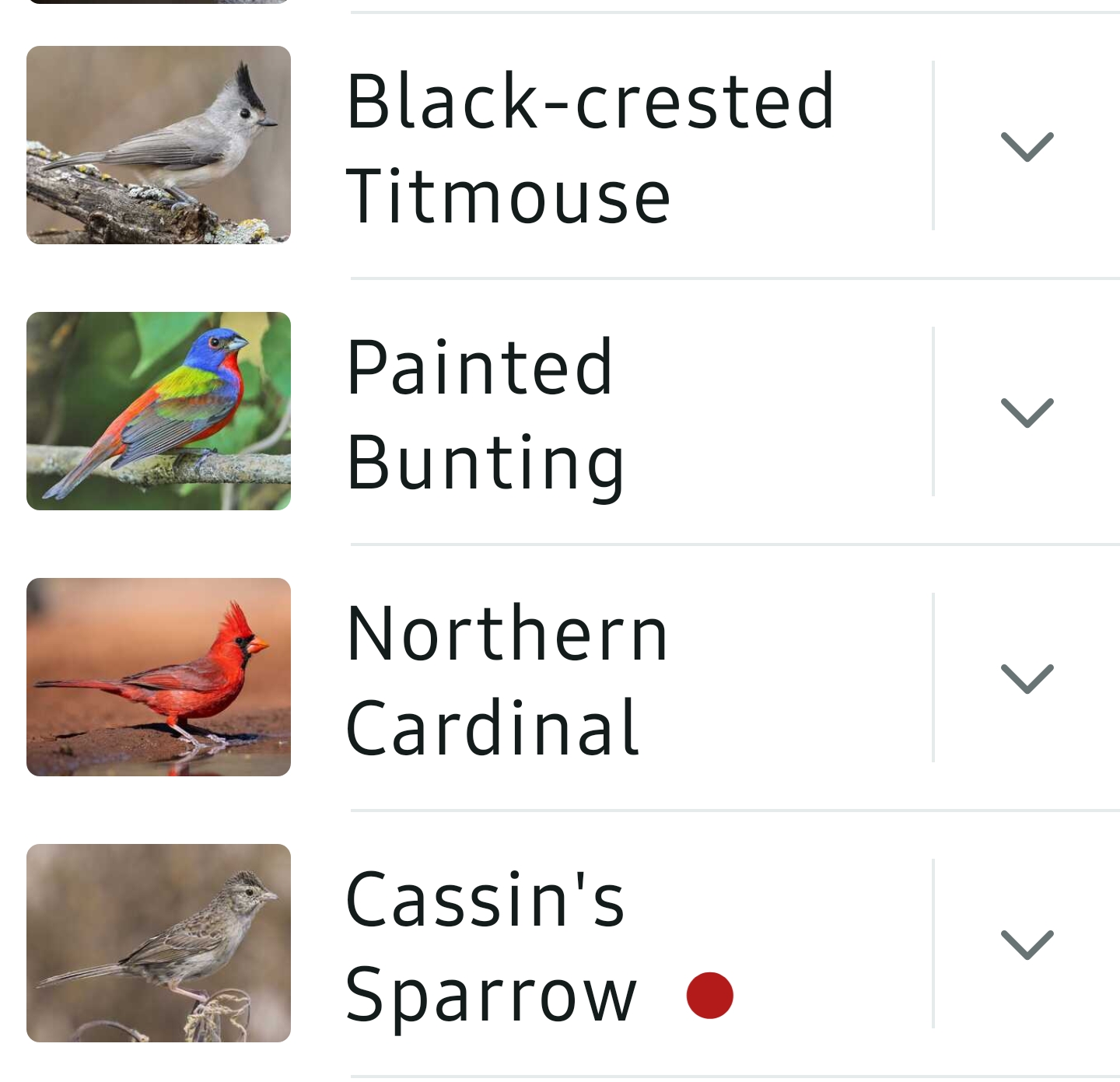 Bird List Kimble Country