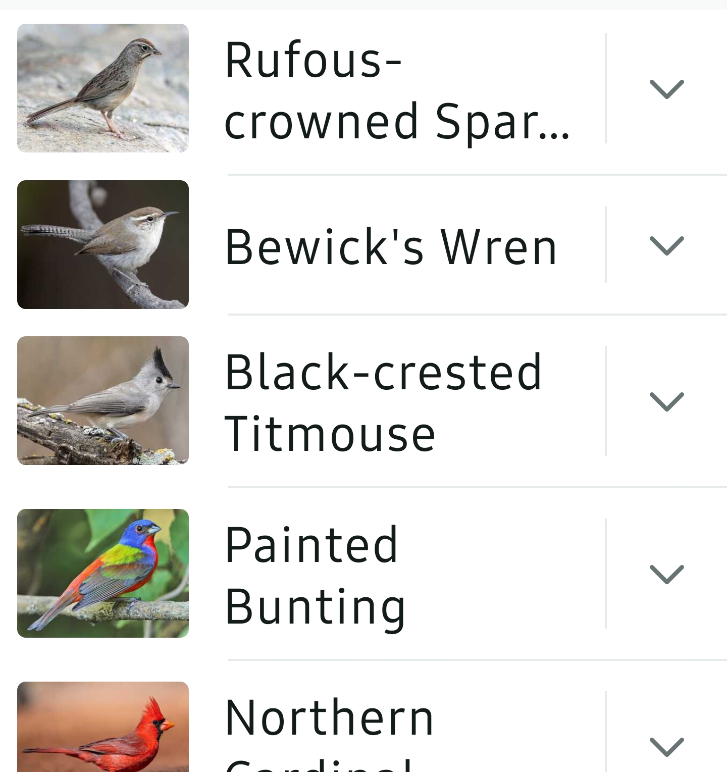 Bird List Kimble Country
