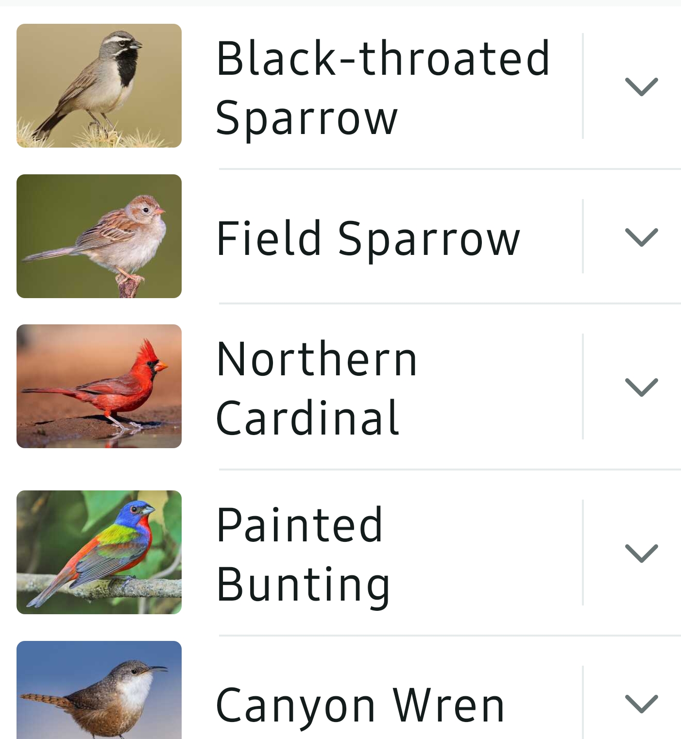 Bird List Kimble Country