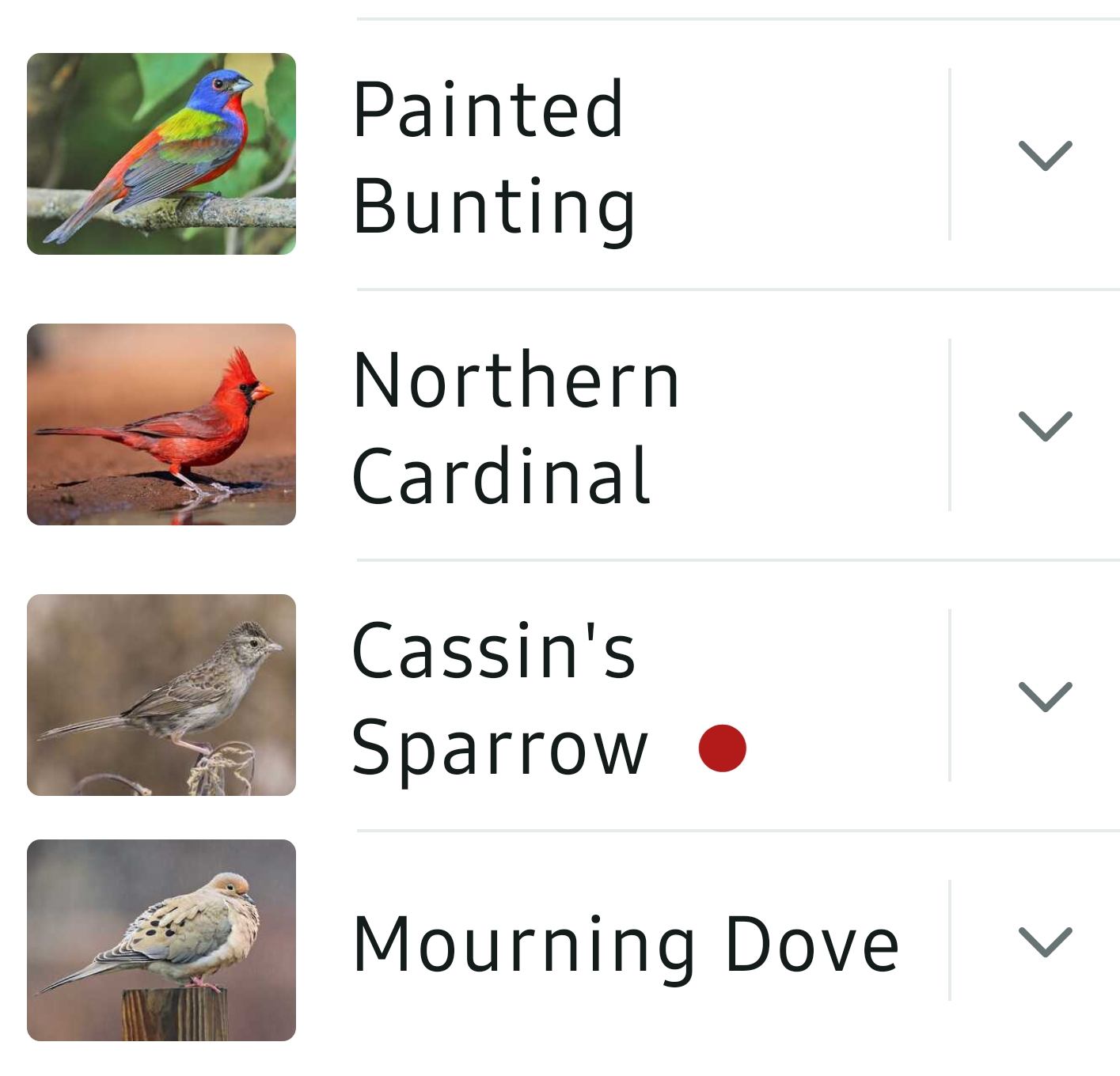 Bird List Kimble Country