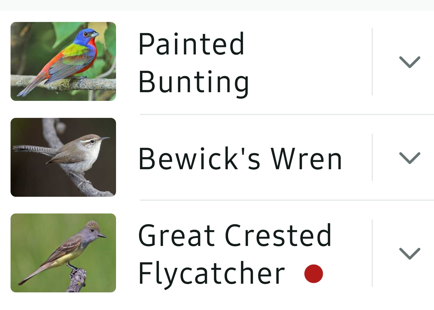 Bird List Kimble Country