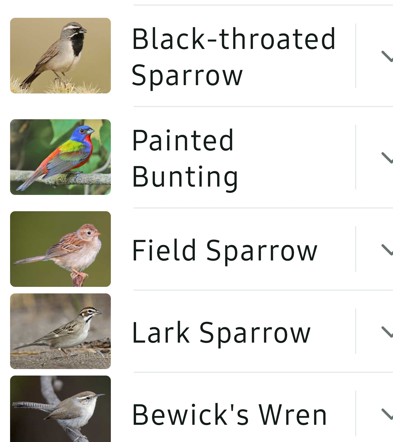 Bird List Kimble Country