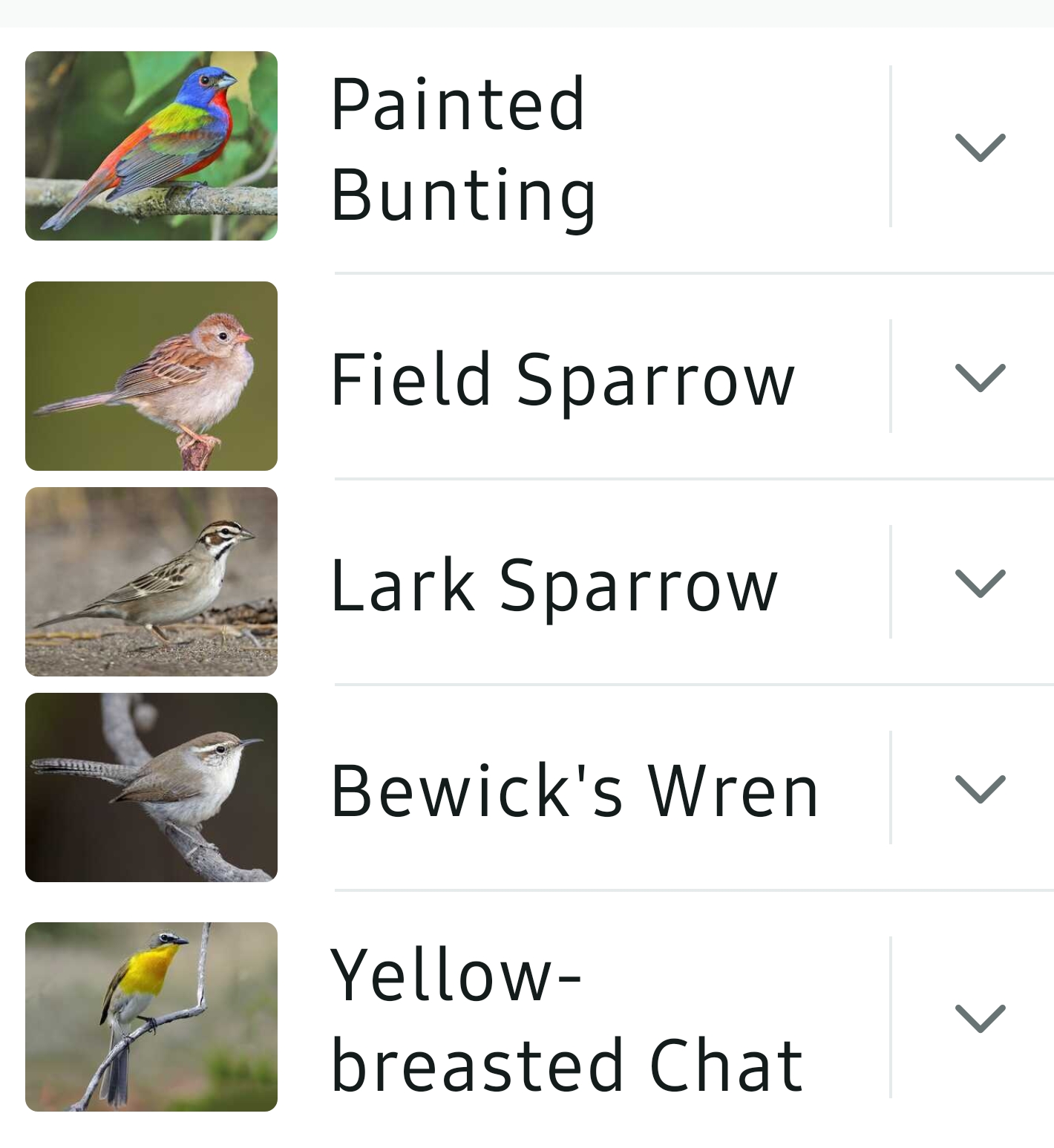 Bird List Kimble Country