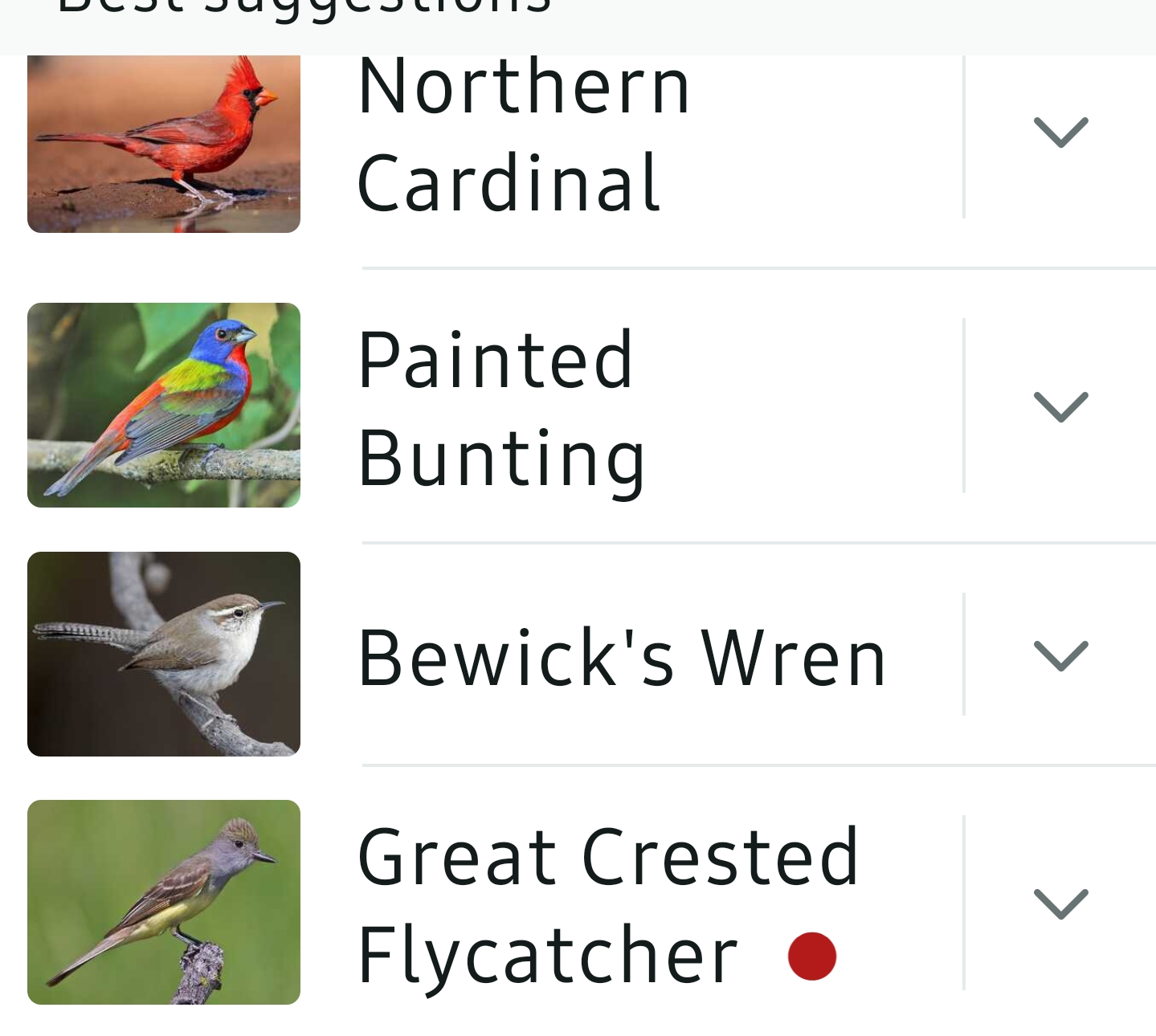 Bird List Kimble Country