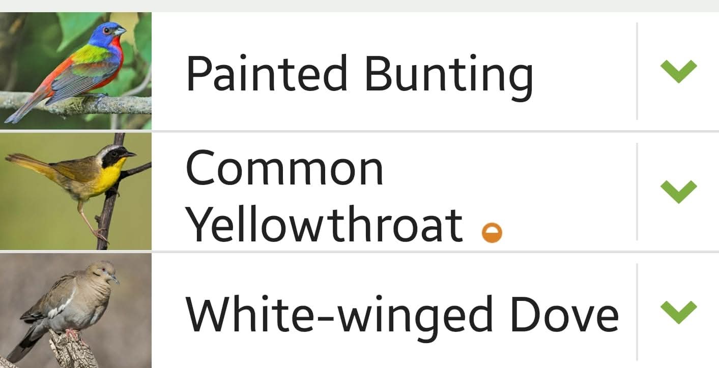 Kimble County bird sighting list