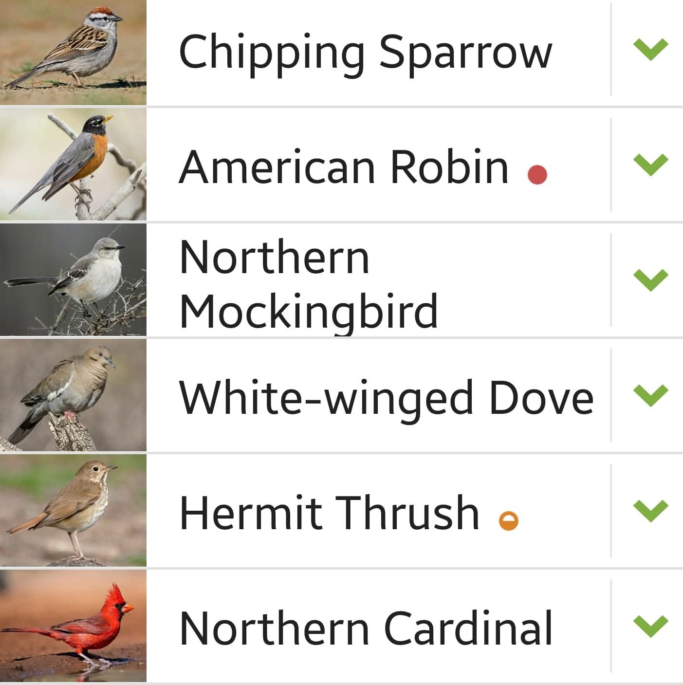 Kimble County bird sighting list