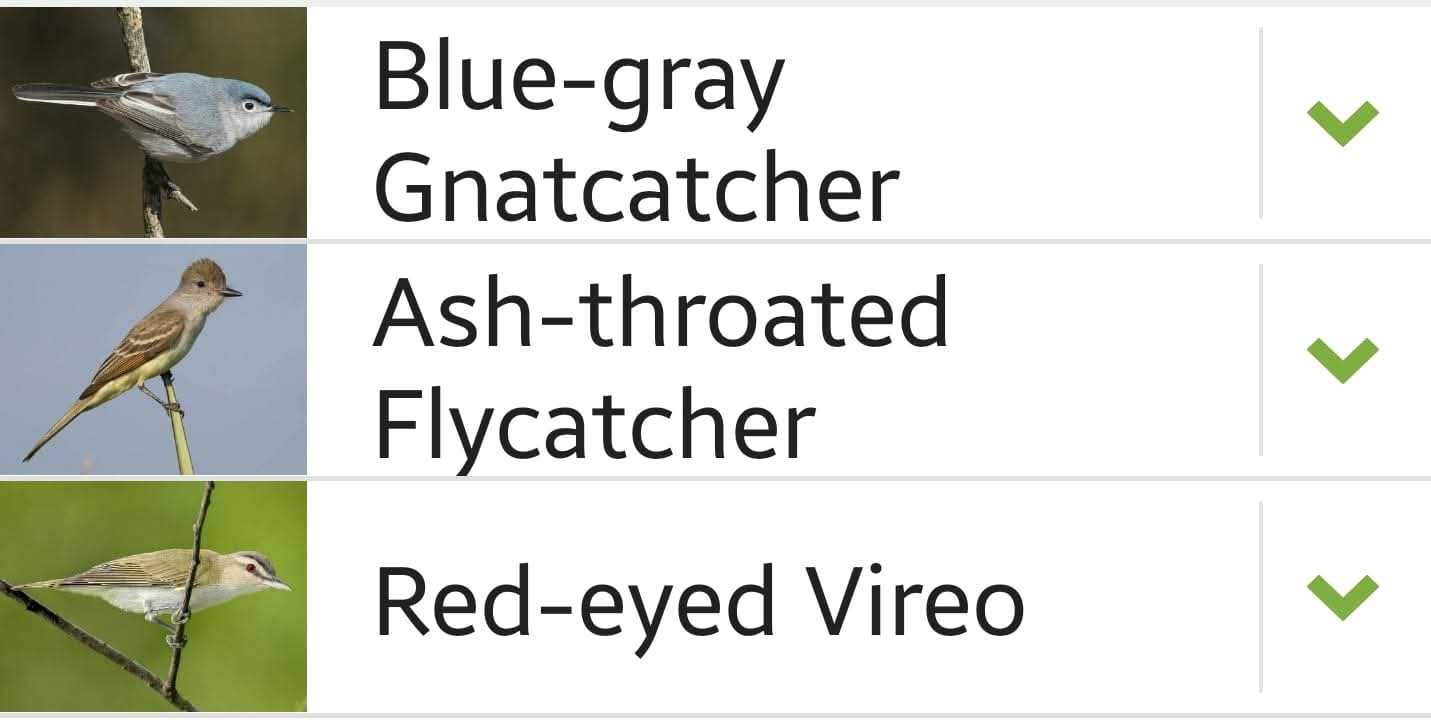 Kimble County bird sighting list