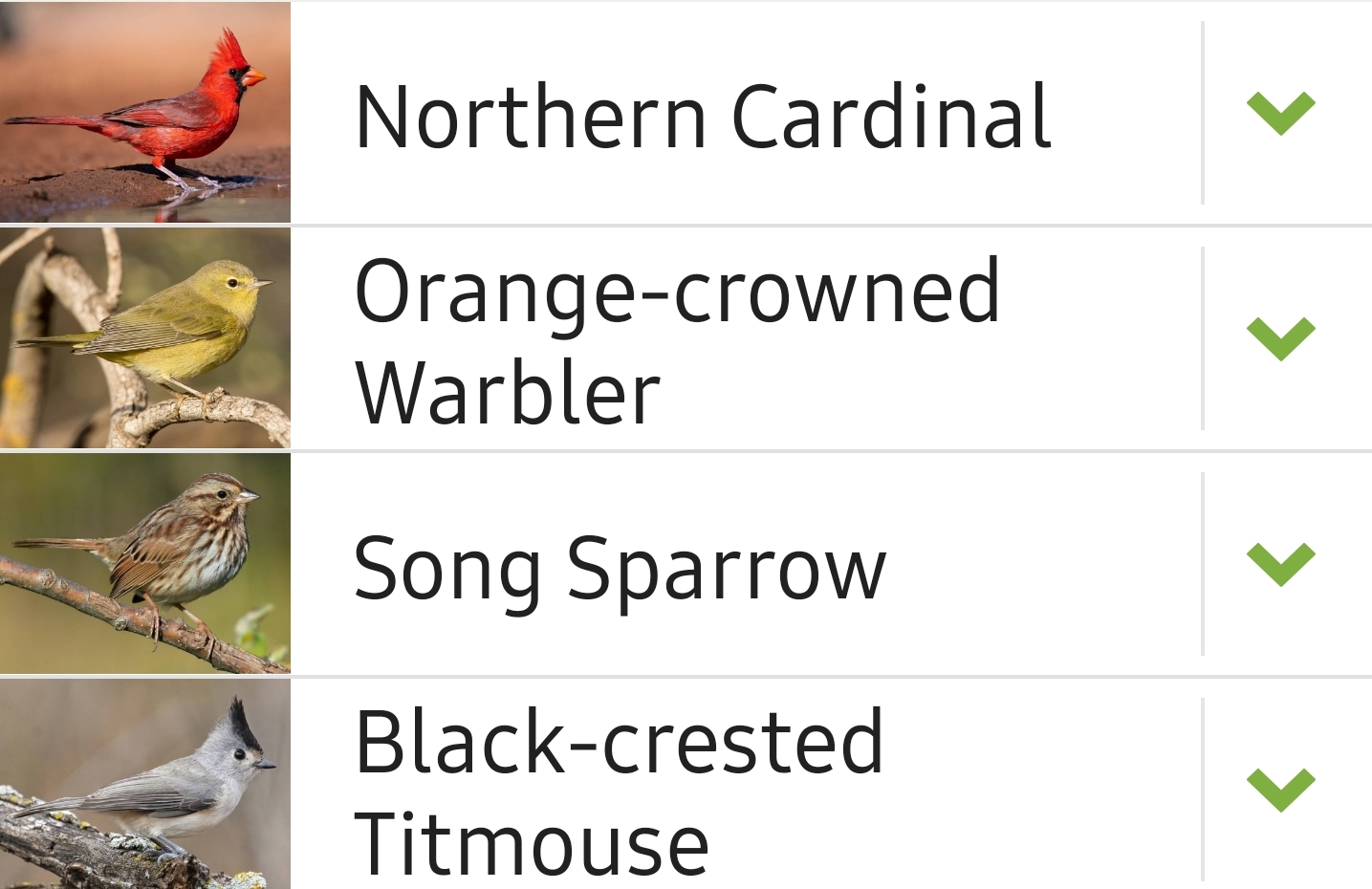 Bird List Kimble Country
